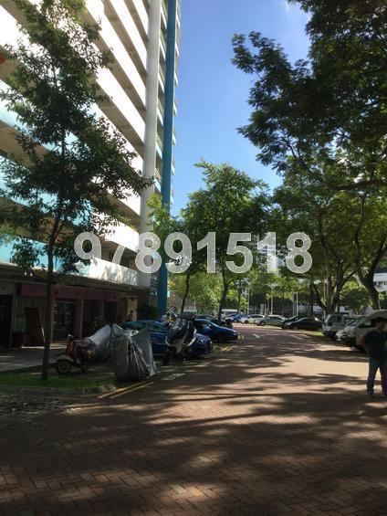 Blk 34 Whampoa West (Kallang/Whampoa), HDB 3 Rooms #137397722